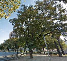 Pis  Passeig de sant joan. Piso  alto  soleado  con parking en "eixample"
