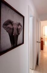 Location Appartement  Carrer de morales. Piso  amueblado  de 4 dorm