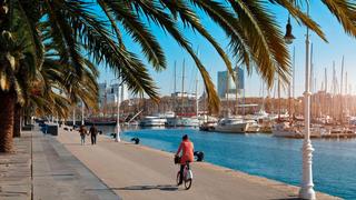 Ground floor  Carrer de sant elm. Loft con cedula  y  tocando  el mar