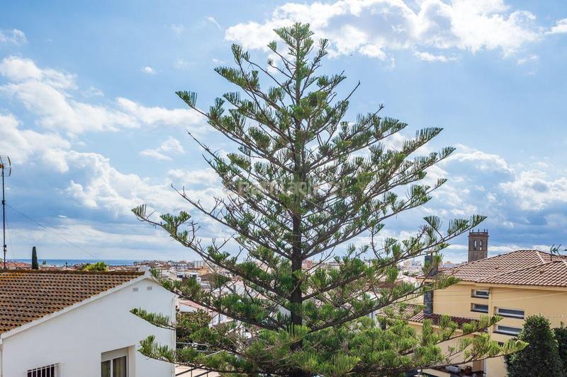 Foto ec804d27-42c3-4801-91b1-6cbd8141cf8a. Xalet a carrer narcís oller a Pinemar Pineda de Mar