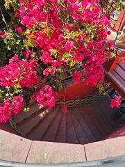 Xalet a Pinemar. Gran casa urb. pinemar con licencia turistica