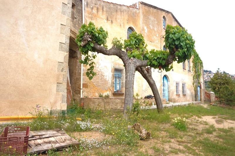 Foto 0c715207-871d-4072-a54b-9fd2e6bafb29. Masía masia en can cornet en Pinemar Pineda de Mar