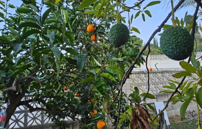 Foto d516050c-224d-4bc3-9e52-6e1daf1c9c58. Chalet con parcheggio piscina in Pinos de Alhaurín Alhaurín de la Torre