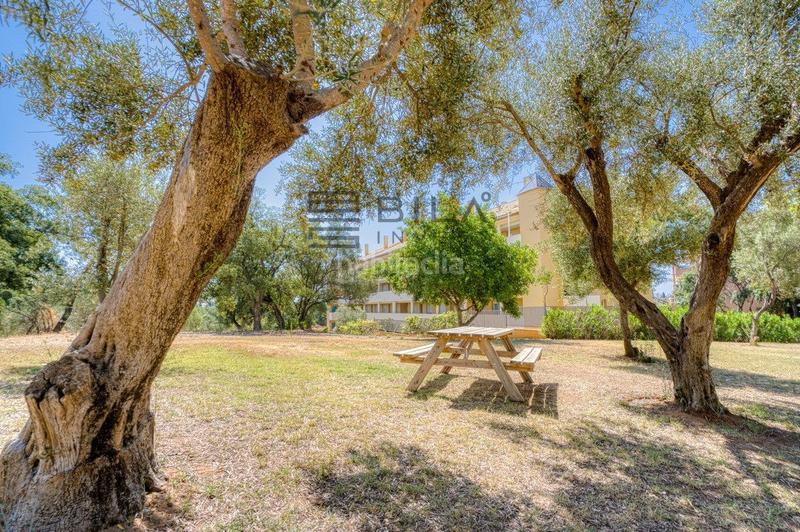 Foto dfcd0ff8-62ca-46ec-9fbe-fc1c20a0dde8. Piso  en venta en urb. hacienda san manuel, elviria, en Marbella