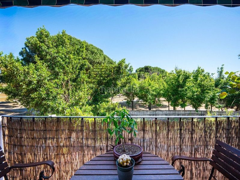 Foto bd88dbfe-0976-4021-8b1c-4252de800e47. Pis a Romana Playa Marbella