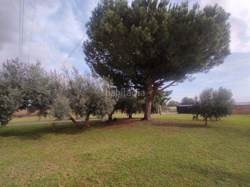 Foto bb838298-2899-45ca-8a0b-3881a1fed2d8. Chalet avec parking piscine dans Madrigal Villarreal / Vila - real