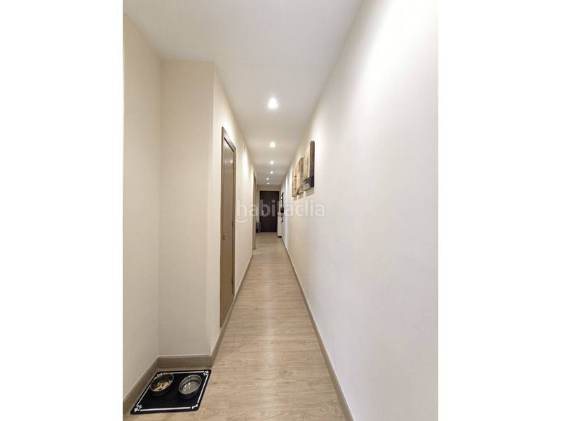 Foto e36d6a32-86a6-4e15-aa18-281e38bf9380. Pis amb calefacció a Auditorio - Seminario - Parque de Invierno Oviedo