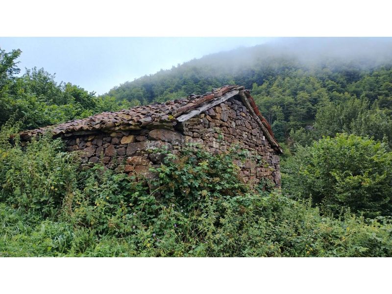 Foto d10e9a61-78ea-46b4-979b-91915e84e9f3. Finca rústica a Somiedo