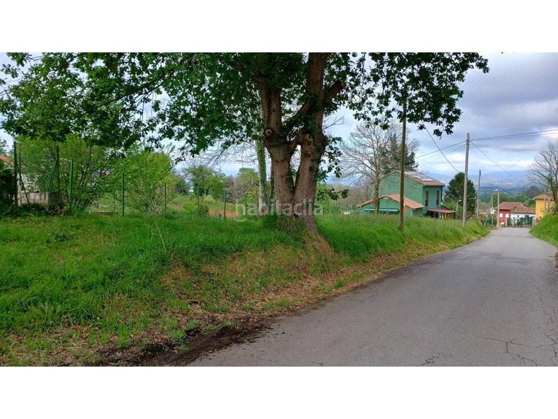 Foto 14867063-328c-4381-ae32-1c99dbc8714a. Finca rústica a Viella-Granda-Meres Siero