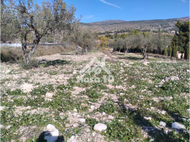 Foto 1a78913b-8d14-4d3b-9a5d-b481cb672ee9. Country house in Ibi