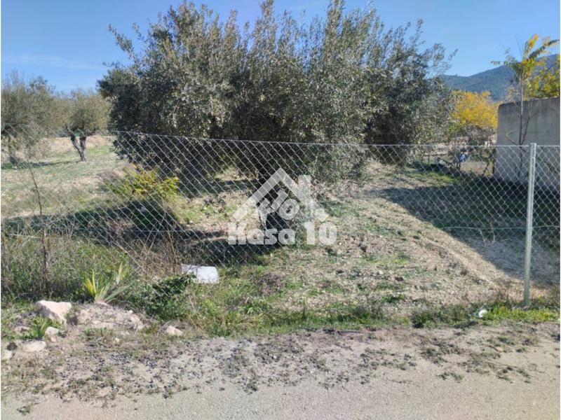 Foto 59a89190-ca87-4e28-a86d-3e184fdb4dd1. Country house in Ibi