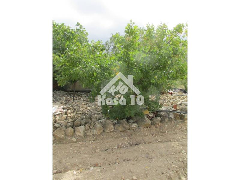 Foto 1a580329-d77e-4468-bdae-2a8ce3079246. Bauernhof mit parking pool in Tibi