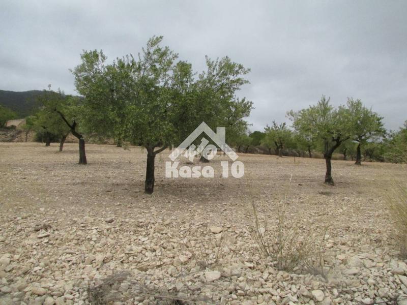 Foto b64f5af1-a524-4d3a-99c3-c646b2e2c449. Bauernhof mit parking pool in Tibi