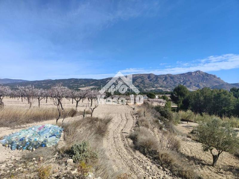 Foto b7cb7f65-ebf1-4299-91c3-cab965111531. Bauernhof mit parking pool in Tibi