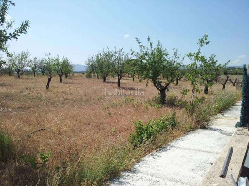 Foto c19ebb8a-e394-4299-9e46-860ec0e1f7d5. Finca rústica  en venta en Castalla