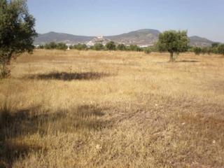 Terreny residencial a Onil. Terreno rustico en venta.