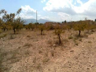 Terreny residencial a Ibi. Terreno rustico en venta.