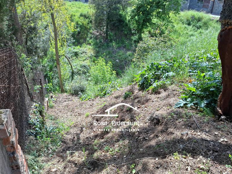 Foto ba5a3f0b-1cae-42ef-bb9c-6a4b47d5f579. Terrain résidentiel dans Residencial Park Maçanet de la Selva