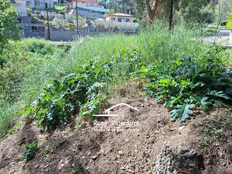Foto f6ce755a-b98b-4b83-9dad-5db21c4ec0a9. Terrain résidentiel dans Residencial Park Maçanet de la Selva