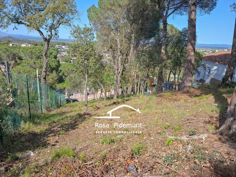 Foto 4200b9bf-5c0b-43c2-a01c-25bc8822fe61. Terreny residencial a Residencial Park Maçanet de la Selva