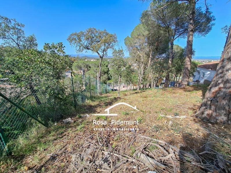 Foto 47aea2fc-b96f-4591-9f0f-7651992cada2. Terreny residencial a Residencial Park Maçanet de la Selva
