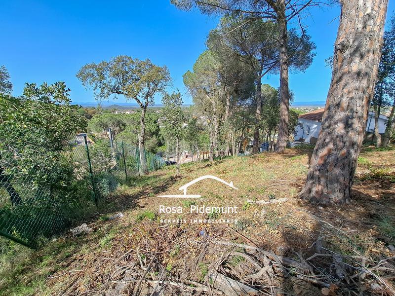 Foto 516a4fe2-e35d-46bc-9056-885a77a33868. Terreny residencial a Residencial Park Maçanet de la Selva