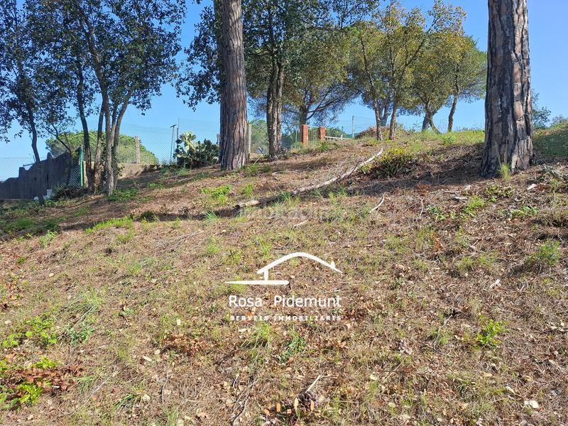 Foto 8e401d58-10f1-4aaa-a6ad-560639f2dda6. Terreny residencial a Residencial Park Maçanet de la Selva