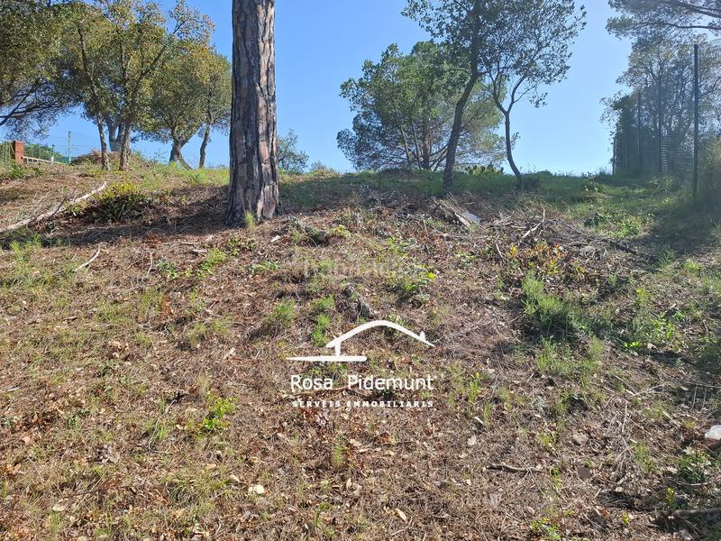 Foto a8ed9b6d-e410-427f-8575-910fadff9655. Terreny residencial a Residencial Park Maçanet de la Selva