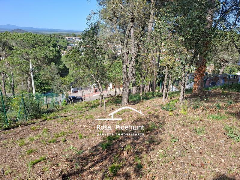 Foto c5dedbd1-6e82-488c-baa4-b05b8ff30d60. Terreny residencial a Residencial Park Maçanet de la Selva
