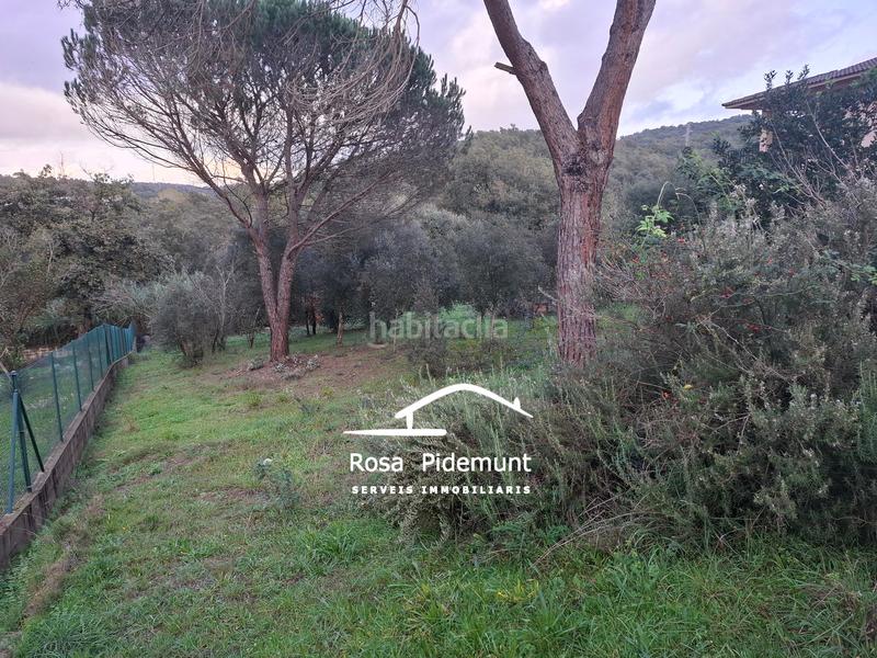 Foto 650aa0c6-1cac-48aa-b870-a771c0d2624c. Terrain résidentiel dans Mas Altaba - El Molí Maçanet de la Selva