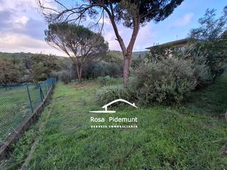 Terreny residencial  Carrer amer. Parcela edificable llana!!!