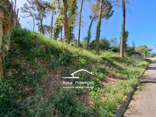 Terreny residencial  Avinguda arbres. Gran parcela situada en la entrada de la urbanizacion!!