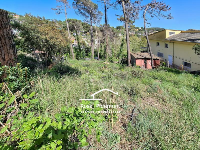 Foto e3242130-179e-4de2-a063-4310da6bf40d. Terreny residencial a Residencial Park Maçanet de la Selva