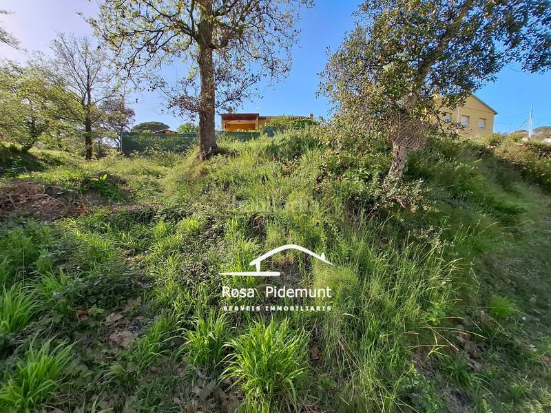 Foto 1c66c278-6401-4cd2-b05b-ea51a4c7ea51. Terrain résidentiel dans Residencial Park Maçanet de la Selva