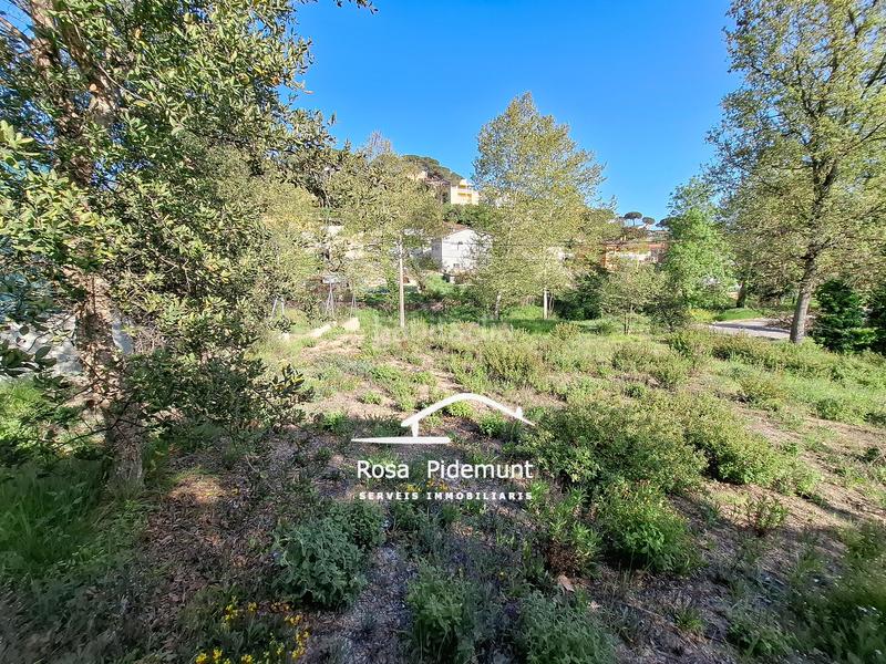 Foto 2ba6b464-9ab6-44a1-9305-78c1f16a7061. Terrain résidentiel dans Residencial Park Maçanet de la Selva