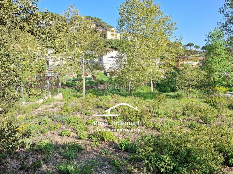 Foto 547a1f47-61e8-49cb-8e37-2dd1940247f0. Terrain résidentiel dans Residencial Park Maçanet de la Selva