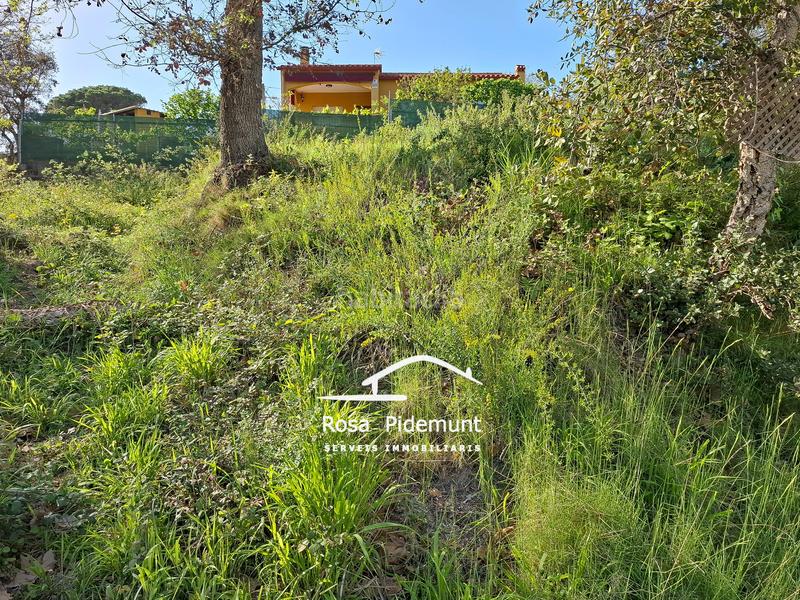 Foto bf0bde8a-1c6a-40e3-a957-8124accacaec. Terrain résidentiel dans Residencial Park Maçanet de la Selva