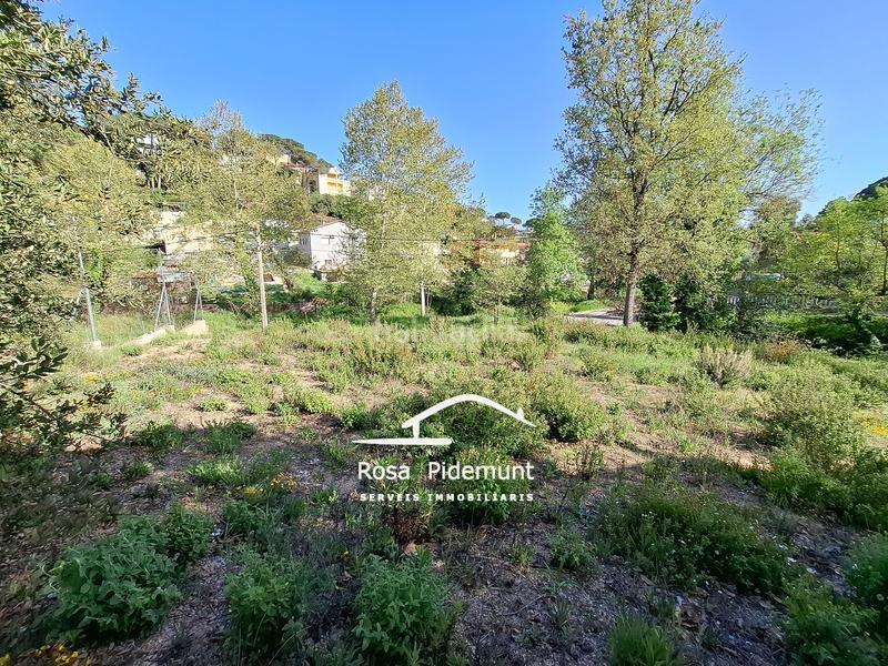Foto e67f143e-ce6b-4327-b853-a1f8349e8bfd. Terrain résidentiel dans Residencial Park Maçanet de la Selva