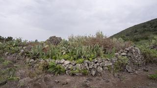 Masia  N/a. Finca rúst. en venta en valverde.