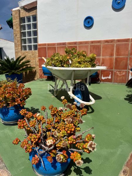 Foto b58eeb1b-d160-4fff-abcd-530530d2e361. Bauernhof mit pool in Lagos