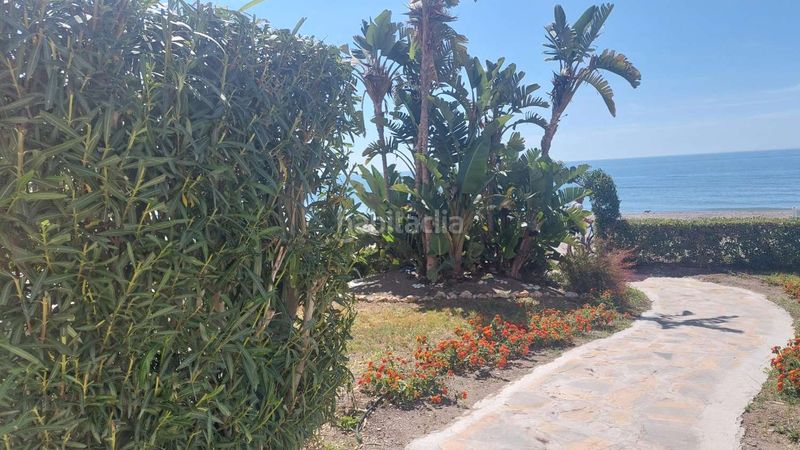 Foto a8d2b824-d65f-4caa-9b44-737d5f154aba. Apartament a Urbanización Santa Rosa Torrox