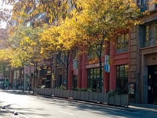 Business premise in Carrer de Mallorca 649