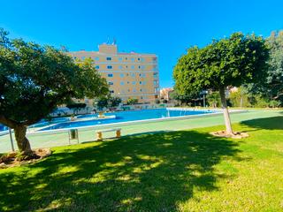 Apartament en Calle helena 3. Apartamento renovado en torrevieja: tu hogar para todo el ao o