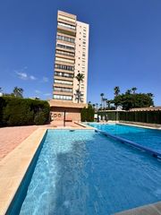 Flat in Avenida europa 3. Magnifico piso en arenal