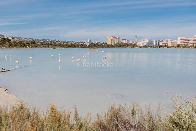 Foto 8d0e8132-d262-40c6-b94a-2a83d3b9080b. Piccolo appartamento in Playa Arenal - Bol Calp