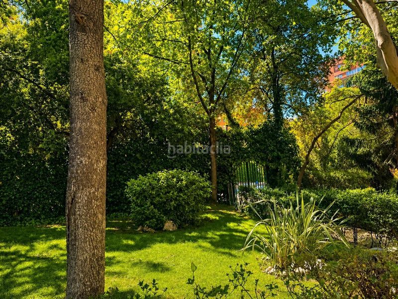 Foto 1209e126-6451-4a76-a006-dff6e7fc495e. Pis amb piscina a Colina Madrid