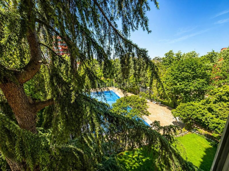Foto a54b34fa-9396-4516-bdd0-09206cf142b3. Pis amb piscina a Colina Madrid