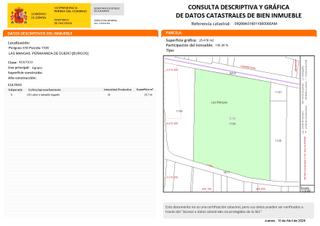 Finca rústica en Terreno el palomar 35. Terreno en peñaranda