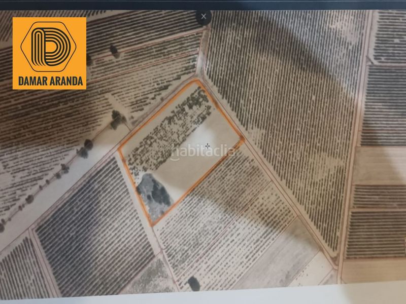 Foto f5ead5a6-73e6-4997-a7cf-a107e365610e. Finca rústica a n/a a Castrillo de la Vega