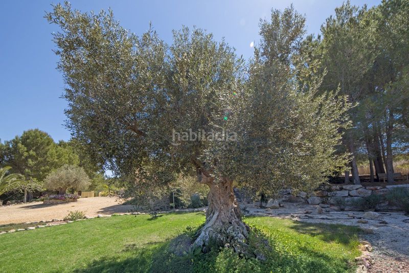 Foto 3d6bce3e-d949-417a-860d-6c93fba6cc40. Casa amb calefacció aparcament piscina a Partida Comunes-Adsubia Xàbia